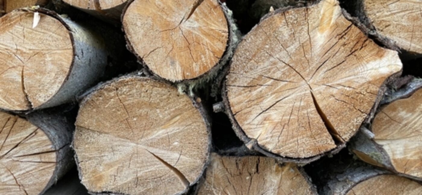 Pile,Of,Logs,,Chopped,Firewood,Logs,For,Wood,Fuel,,Biomass, Pile,Of,Logs,,Chopped,Firewood,Logs,For,Wood,Fuel,,Biomass,