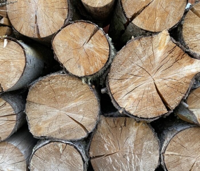 Pile,Of,Logs,,Chopped,Firewood,Logs,For,Wood,Fuel,,Biomass,