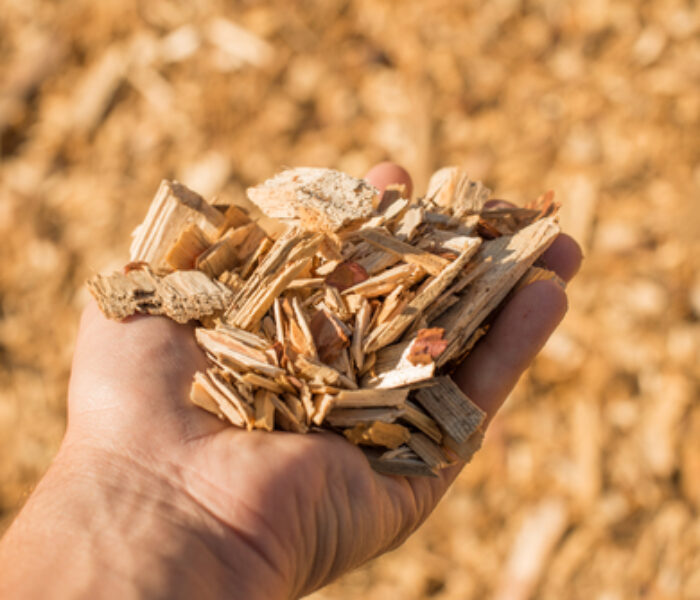 A,Handful,Of,Dry,Technological,Wood,Chips.,Selective,Focus.