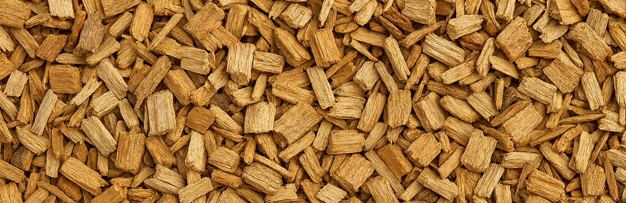 Copilot_20250807_102352 Copilot_20250807_102352